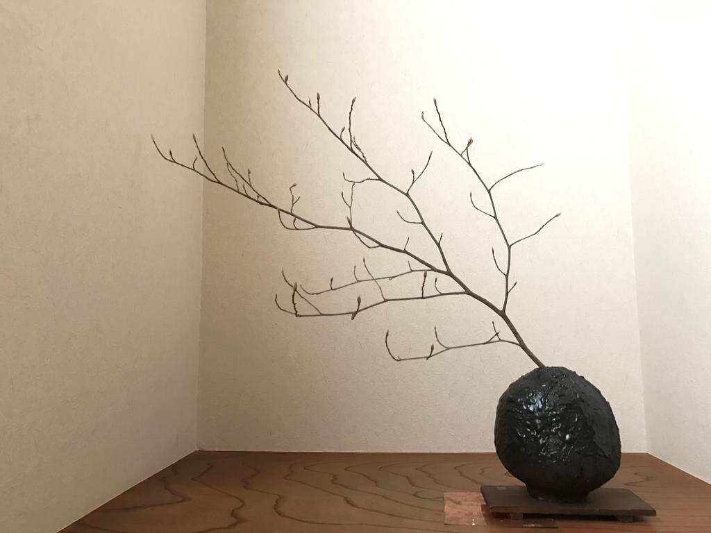 Hotel Sayama Aesthetics School Osakasayama Esterno foto